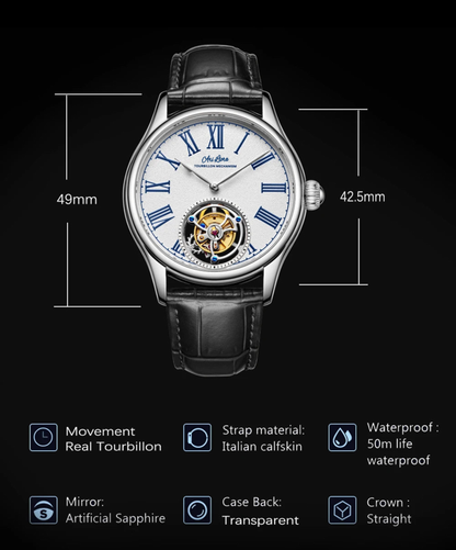 Ari LIORA Tourbillon Watch Tourbillon Watches Mechanical Skeleton