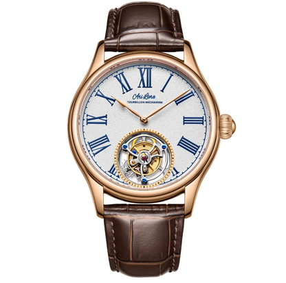 Ari LIORA Tourbillon Watch Tourbillon Watches Mechanical Skeleton